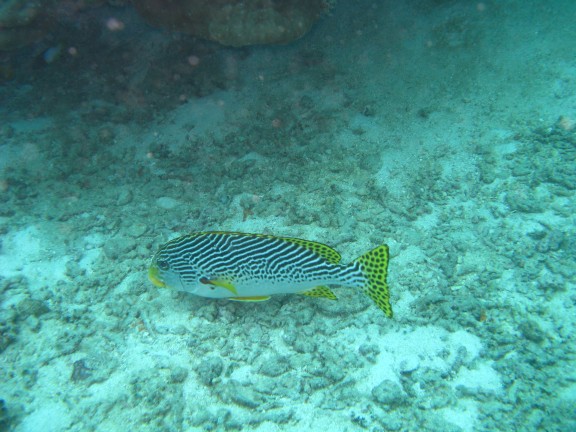 Queensland, Australia