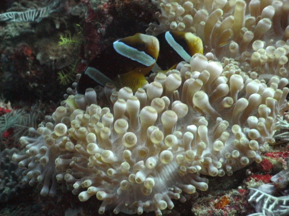 Karangasem, Indonesia
