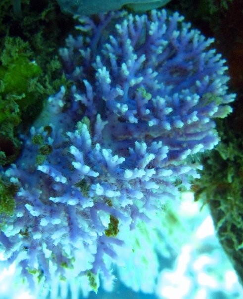 Aguadilla, Puerto Rico