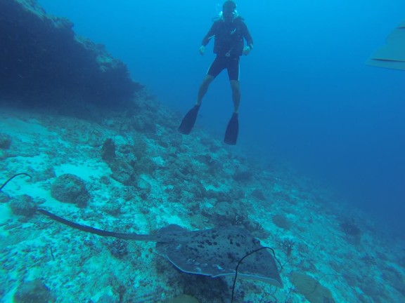Maafushi, Maldivi