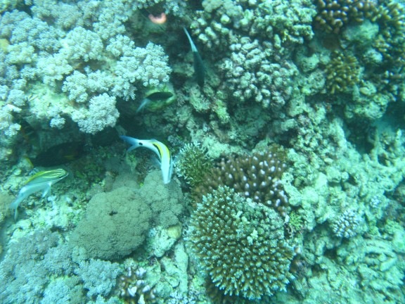 Queensland, Australia