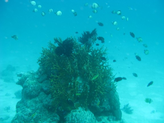 Queensland, Australia