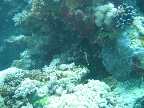 Queensland, Australia