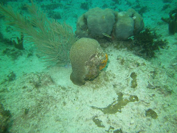George Town, Cayman Islands
