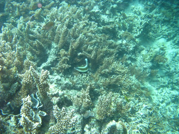 Queensland, Australia