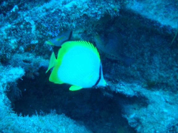Pompano Beach, Florida