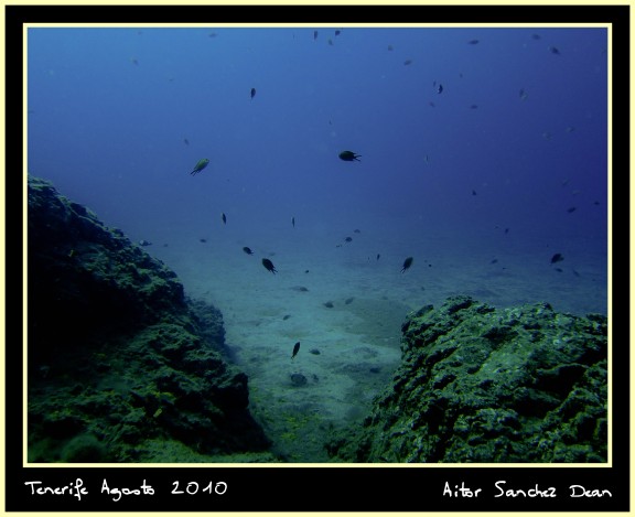 Santiago del Teide, España - fish