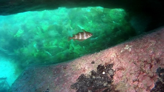 Plobannalec-Lesconil, France