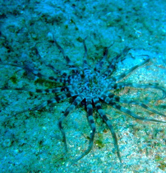 Andaman, India