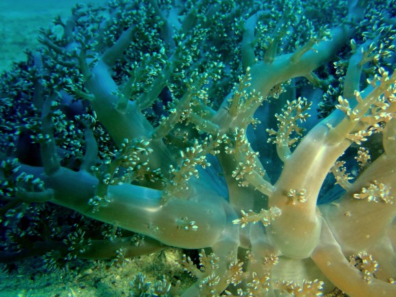 Andaman, India