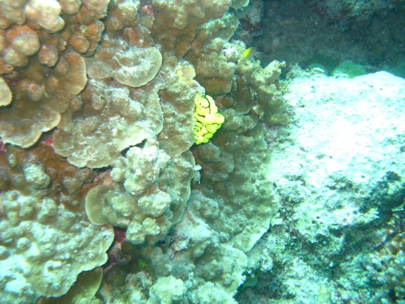Queensland, Australia