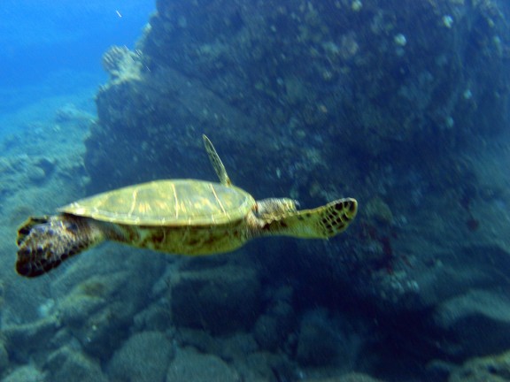 Wailuku, United States