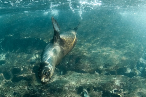 Islas Galápagos, Ecuador