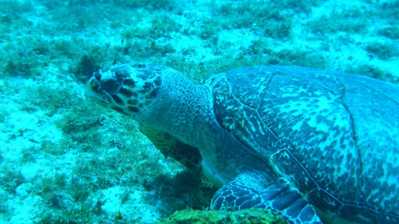 Quintana Roo, Mexico