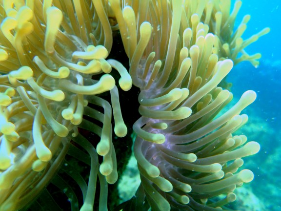 Andaman, India