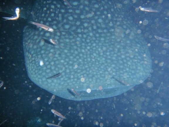 Tadjourah, Djibouti
