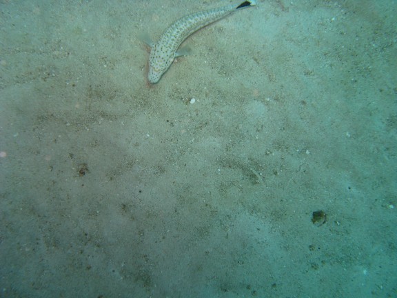 Queensland, Australia