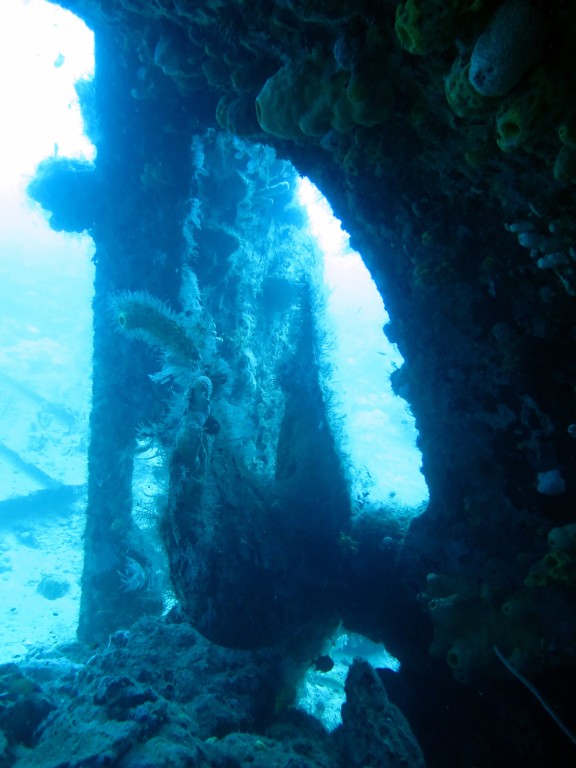 Bayahibe, Dominikanische Republik