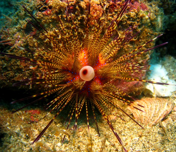 San Juan del Sur, Nicaragua