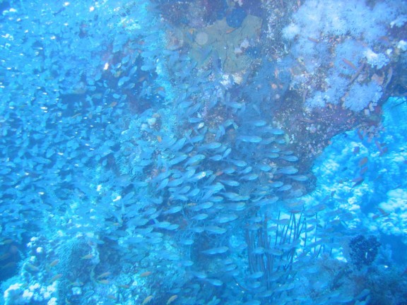egitto sharm
