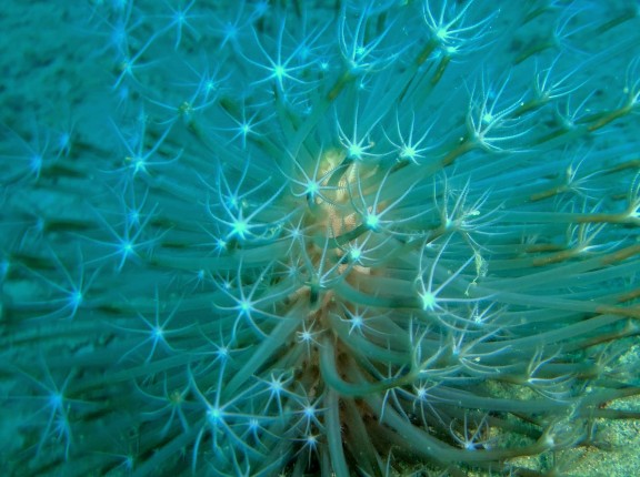 Andaman, India