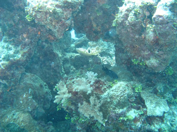 Queensland, Australia