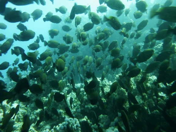 Dahab, Egypt