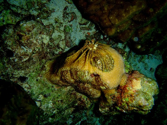 Islas Similan