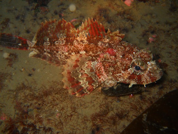Victoria, Canada
