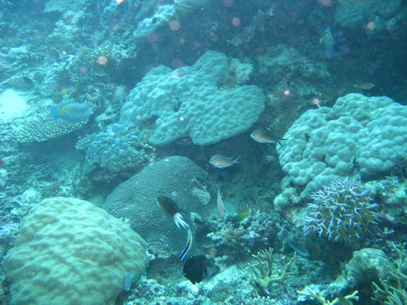 Queensland, Australia