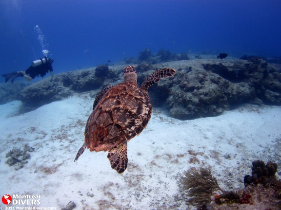 Quintana Roo, Mexique