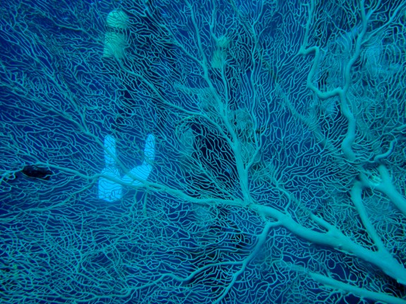 Qesm Sharm Ash Sheikh, Egipto