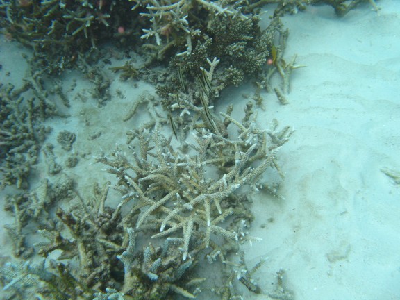 Queensland, Australia