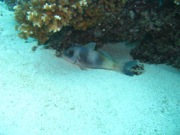 Queensland, Australia