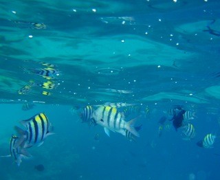 Fihalholi, Maldives