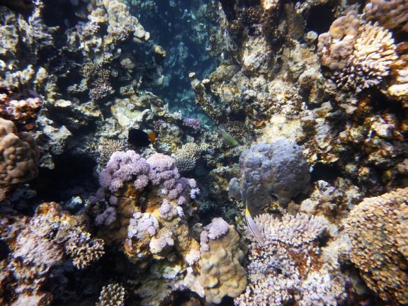 Dahab, Egypt