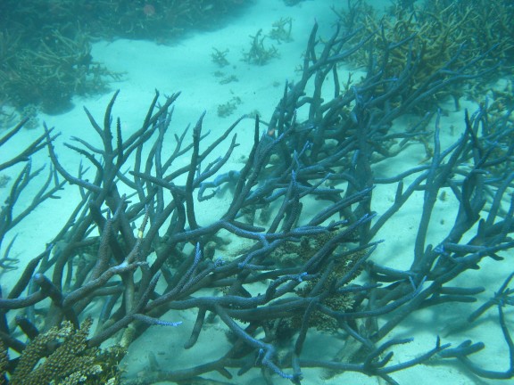 Queensland, Australia