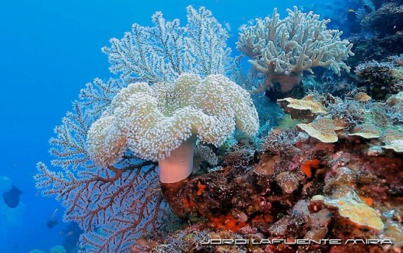 Indonesia