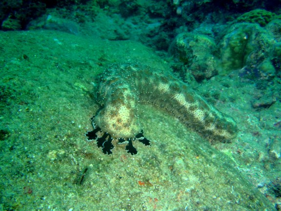 Andaman, India
