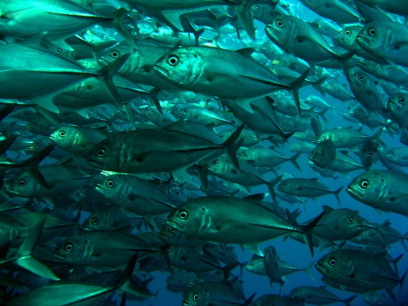 Baturiti, Indonesien