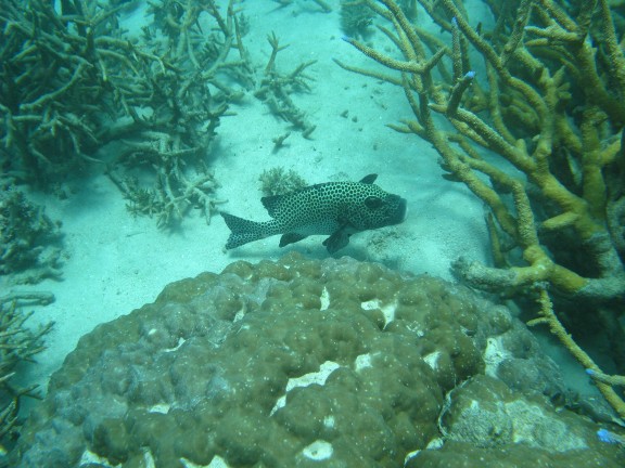 Queensland, Australia