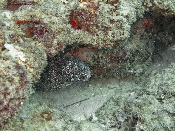 West Palm Beach, United States