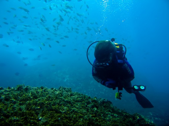 Armação dos Búzios, Brasil