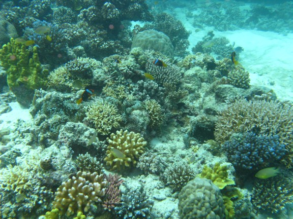 Queensland, Australia