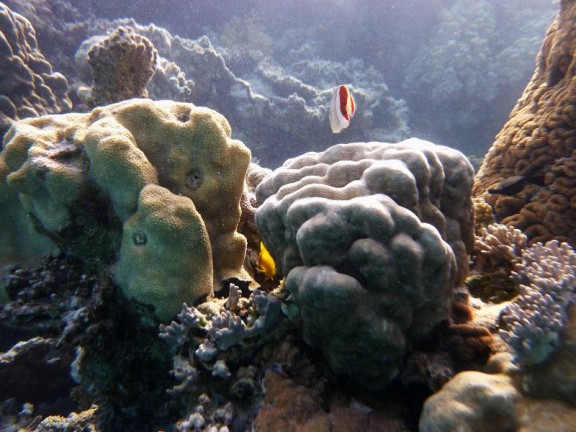 Dahab, Egypt