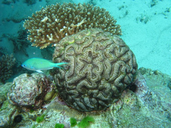 Queensland, Australia