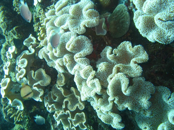 Queensland, Australia
