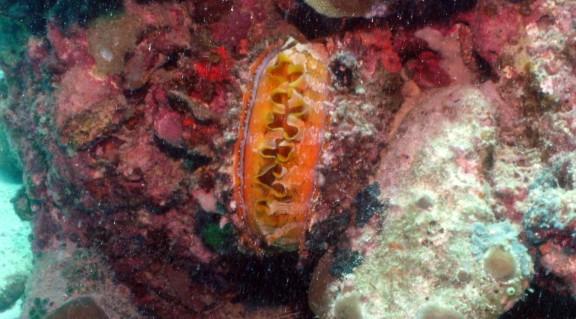 Malaysia