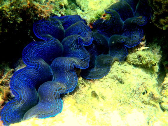 port blair, india