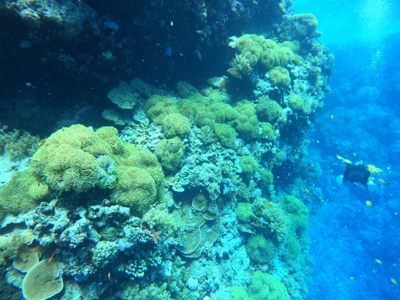 Red Sea, Egypt